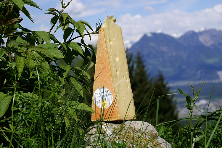 Bregenzerwälder Hobelkäse 11 Milder Bergkäse