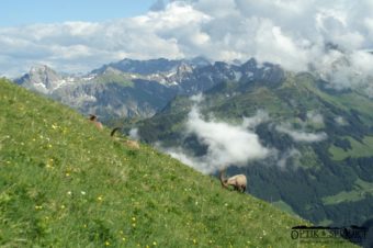 Was für ein Ausblick