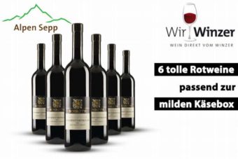 Weintipp: 6x Cabernet Sauvignon zur milden Käsebox