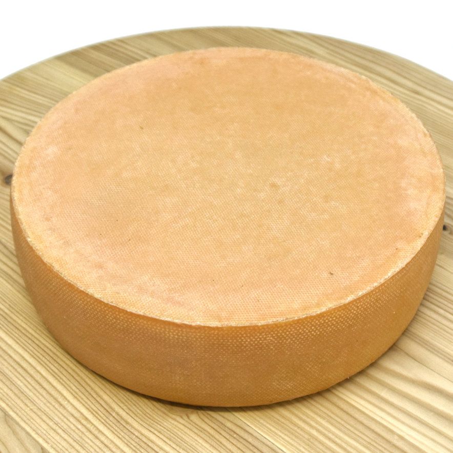 Senn Almkäse - würzig - Käselaib 6 kg im Shop | 50 % F.i.T.