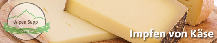 Impfen von Käse im Käse Wiki vom Alpen Sepp
