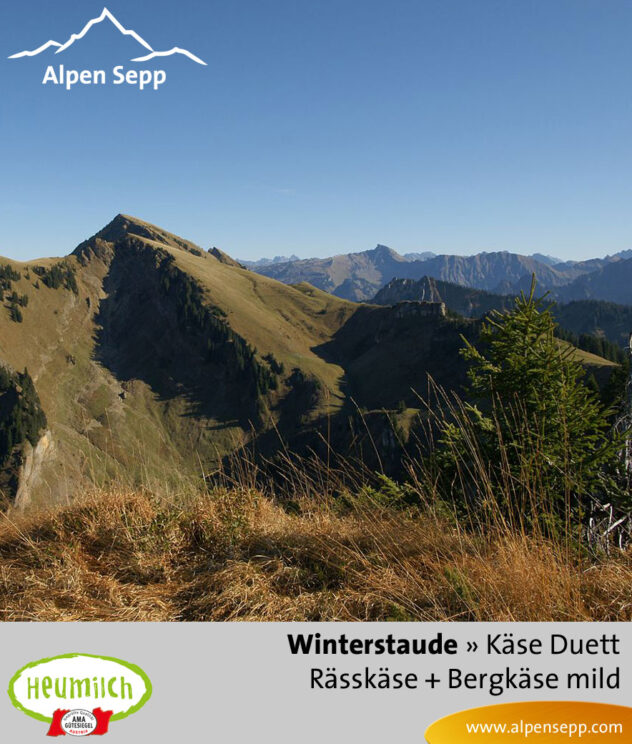 Käse-Duett Komposition Winterstaude