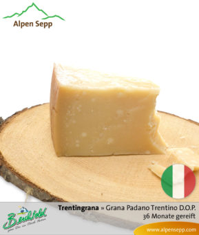 Käse Trentingrana (ähnlich Parmesan). Grana Padano Trentino D.O.P. – 36 Monate gereift