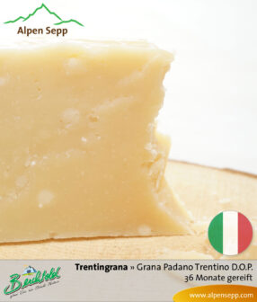 Käse Trentingrana (ähnlich Parmesan). Grana Padano Trentino D.O.P. – 36 Monate gereift 7 Käse Trentingrana - Grana Padano Trentino D.O.P. - 36 Monate gereift. Ähnlich Parmesan.
