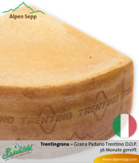 Käse Trentingrana (ähnlich Parmesan). Grana Padano Trentino D.O.P. – 36 Monate gereift 8 Käse Trentingrana - Grana Padano Trentino D.O.P. - 36 Monate gereift. Ähnlich Parmesan.