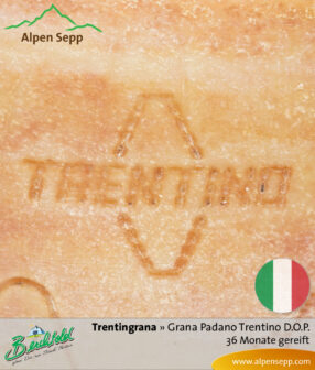 Käse Trentingrana (ähnlich Parmesan). Grana Padano Trentino D.O.P. – 36 Monate gereift 9 Käse Trentingrana - Grana Padano Trentino D.O.P. - 36 Monate gereift. Ähnlich Parmesan.