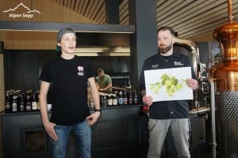 Bier Theorie HOP MONKEY im Verner's