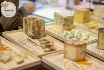 Käse Test | Frankfurt International Trophy | Käse Wettbewerb