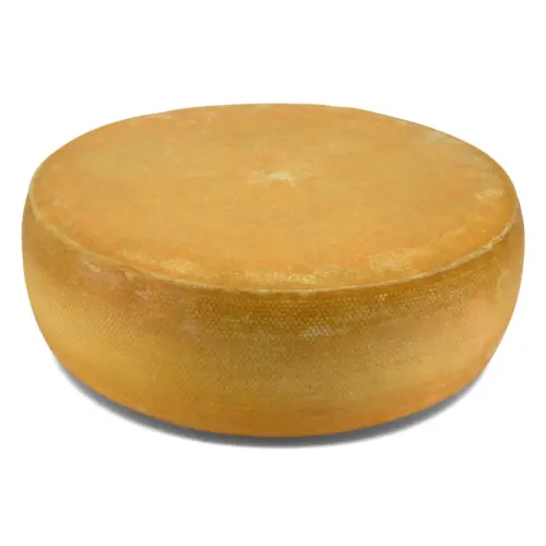 SENN ALMKÄSE extra würzig Käselaib | Laktosefreier Heumilch Käse | 6 kg Käserad. Feedbild.