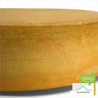 SENN ALMKÄSE extra würzig Käselaib | Laktosefreier Heumilch Käse | 8,1 kg Käserad 8 SENN ALMKÄSE extra würzig Käselaib | Laktosefreier Heumilch Käse | 6 kg Käserad