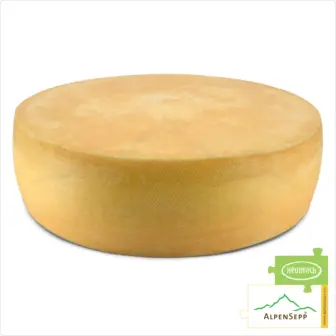 SENN ALMKÄSE würzig Käselaib | Laktosefreier Heumilch Käse | 8,1 kg Käserad 8 SENN ALMKÄSE würzig Käselaib | Laktosefreier Heumilch Käse | 6 kg Käserad