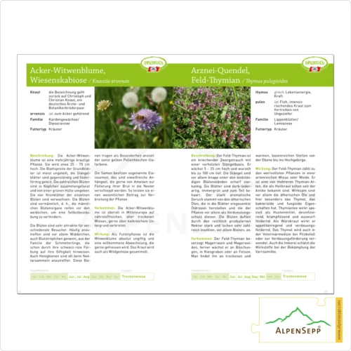 Gräserbuch und Kräuterbuch ... was Heumilchkühen schmeckt | Lernbuch | Download (PDF/eBook) 4 Gräser- und Kräuterfibel ... was Heumilchkühen schmeckt. | Fibel | Download (PDF/eBook)