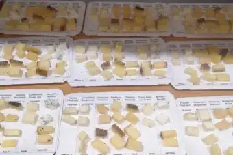 Bruvino Degustation Wein + Käse | Dornbirn