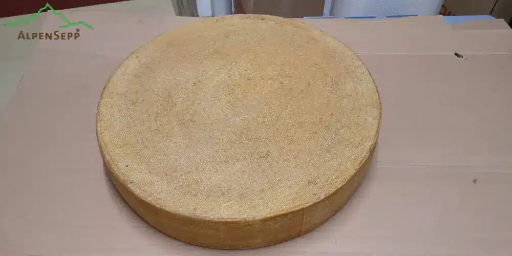 World Championship Cheese Contest 2026 | Rehmer Bergkäse 9 Monate alt
