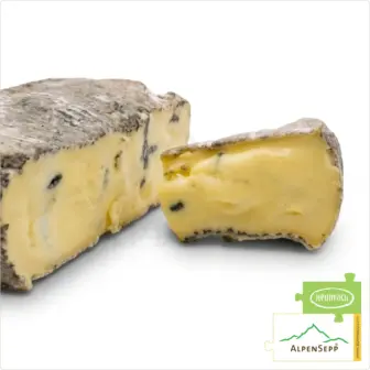 Blauschimmel Camembert aus Bregenzerwälder Heumilch | Natur Pur vom Original Grauvieh | 240 g 12 Blauschimmel Camembert aus Bregenzerwälder Heumilch | Natur Pur vom Original Grauvieh | 4 Wochen