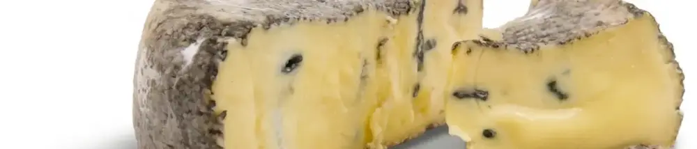 Blauschimmel Camembert aus Bregenzerwälder Heumilch | Natur Pur vom Original Grauvieh | 4 Wochen