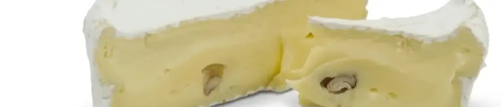 Camembert mit WALNUSS aus Bregenzerwälder Heumilch | Natur Pur vom Original Grauvieh